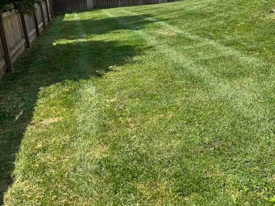 Lawn care service in Georgetown, 40324