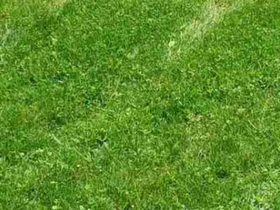Lawn care service in Cranberry Township, 16066