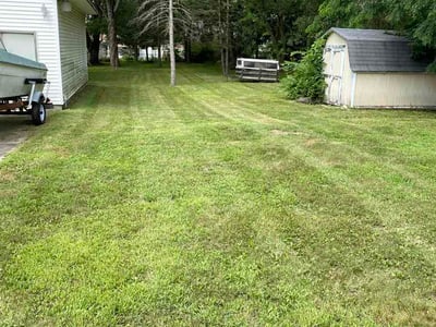 Lawn care service in Lansing, 48911