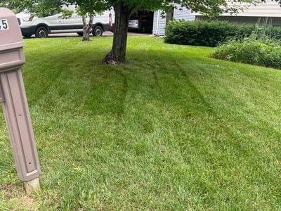 Lawn care service in New Brighton, 55112