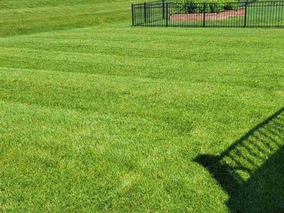 Lawn care service in Osseo, 55311