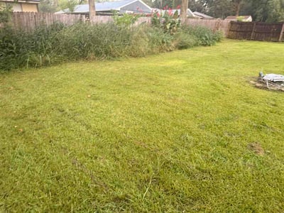 Lawn care service in Orange Park, 32065