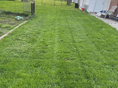 Lawn care service in Garden City, 48135