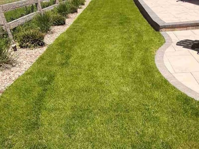 Lawn care service in Littleton, 80125