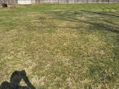 Lawn care service in Cedar Lake, 46303