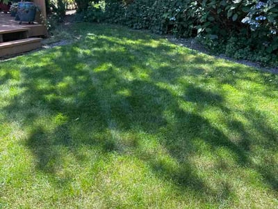 Lawn care service in Portland, 97202