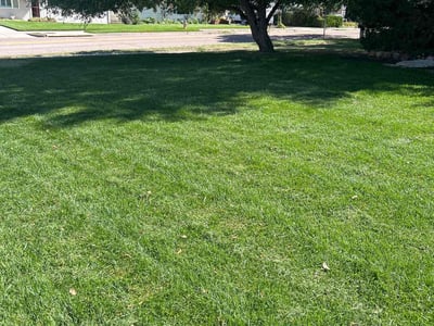 Lawn care service in Colorado Springs, 80905