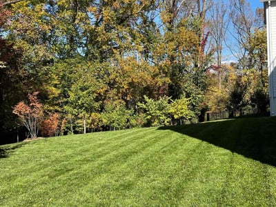 Lawn care service in McLean, 22101