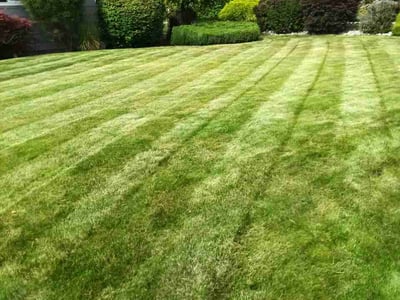 Lawn care service in Spokane, 99208