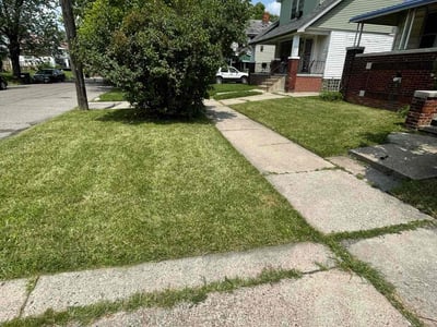 Lawn care service in Detroit, 48204
