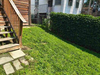 Lawn care service in Omaha, 68104