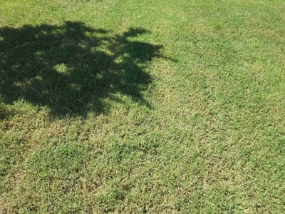 Lawn care service in Grand Prairie, 75054