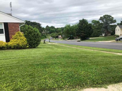 Lawn care service in Rosedale, 21237