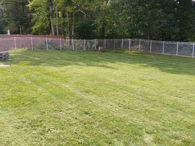 Lawn care service in Schenectady, 12306