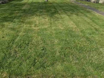 Lawn care service in Portland, 97219