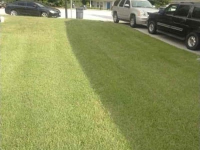 Lawn care service in Union City, 30291