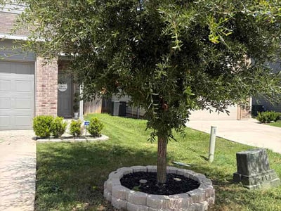 Lawn care service in San Antonio, 78222