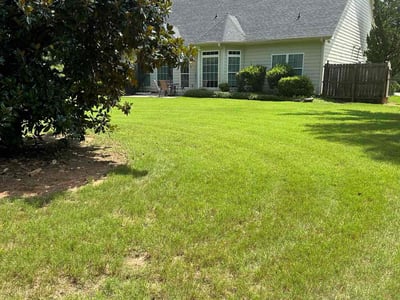Lawn care service in Covington, 30014