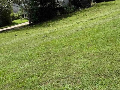 Lawn care service in Peachtree City, 30269