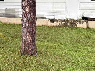 Lawn care service in Vero Beach, 32966
