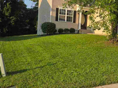 Lawn care service in Florence, 41042