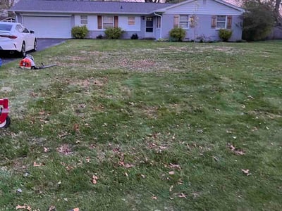 Lawn care service in Indianapolis, 46220