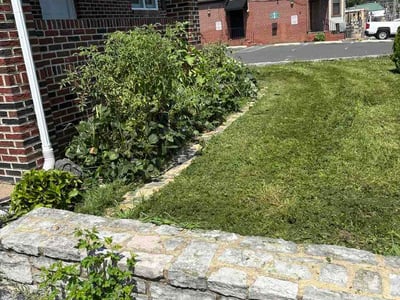 Lawn care service in Wilmington, 19805