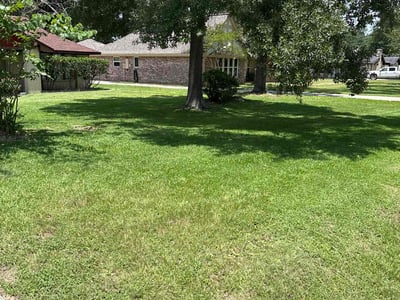 Lawn care service in New Caney, 77357