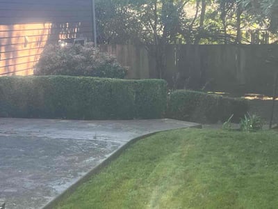 Lawn care service in Bellevue, 98008