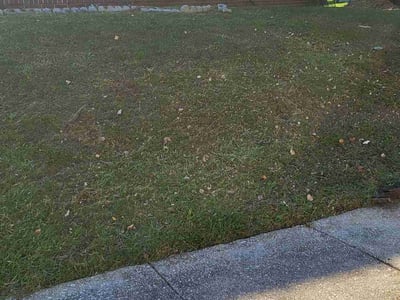 Lawn care service in , 