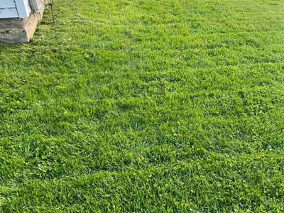 Lawn care service in Shelby, 44875