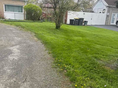Lawn care service in Rochester, 14612