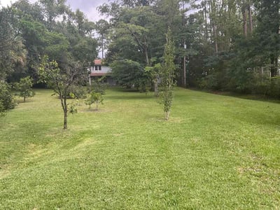 Lawn care service in Yulee, 32097