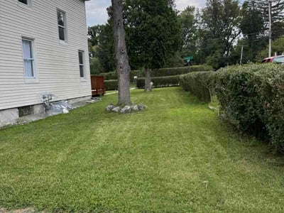 Lawn care service in Pikesville, 21208