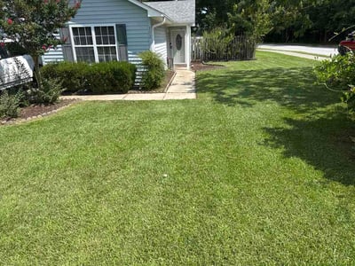 Lawn care service in New Bern, 28562
