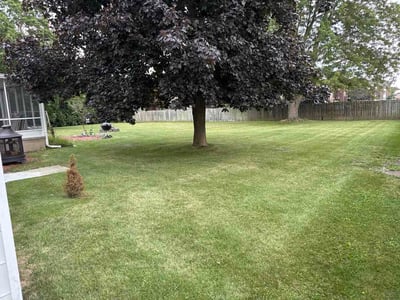 Lawn care service in Sparta, 49345