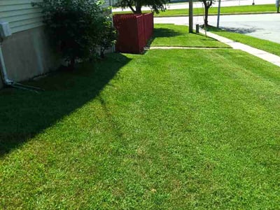 Lawn care service in Pasadena, 21122