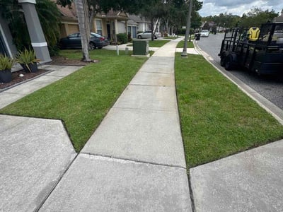 Lawn care service in Orlando, 32832