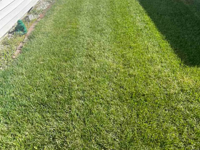 Lawn care service in Clinton Township, 48036