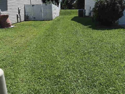 Lawn care service in Charlotte, 28278