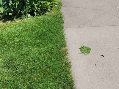 Lawn care service in Osseo, 55311
