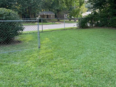 Lawn care service in Horn Lake, 38637