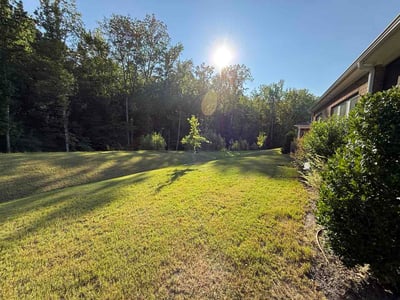 Lawn care service in Charlotte, 28227