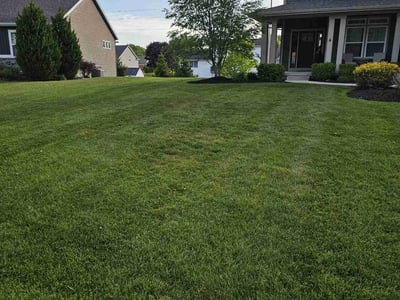 Lawn care service in Grand Haven, 49417
