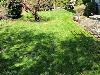 Lawn care service in Lake Stevens, 98258