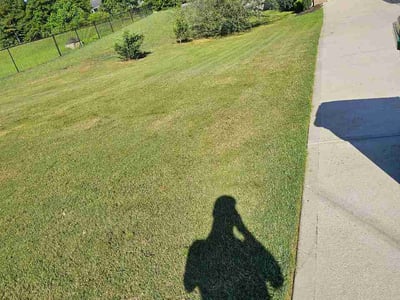 Lawn care service in Inman, 29349