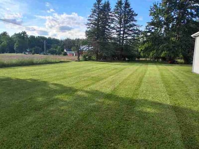 Lawn care service in Carleton, 48117
