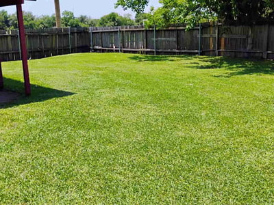 Lawn care service in Pasadena, 77503