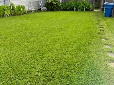 Lawn care service in Virginia Beach, 23451