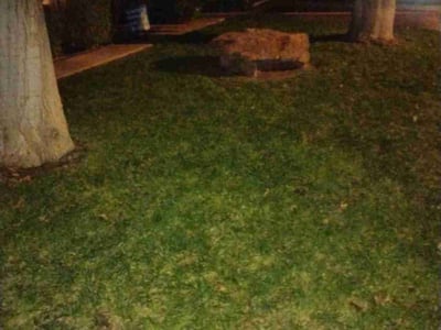 Lawn care service in Lubbock, 79423